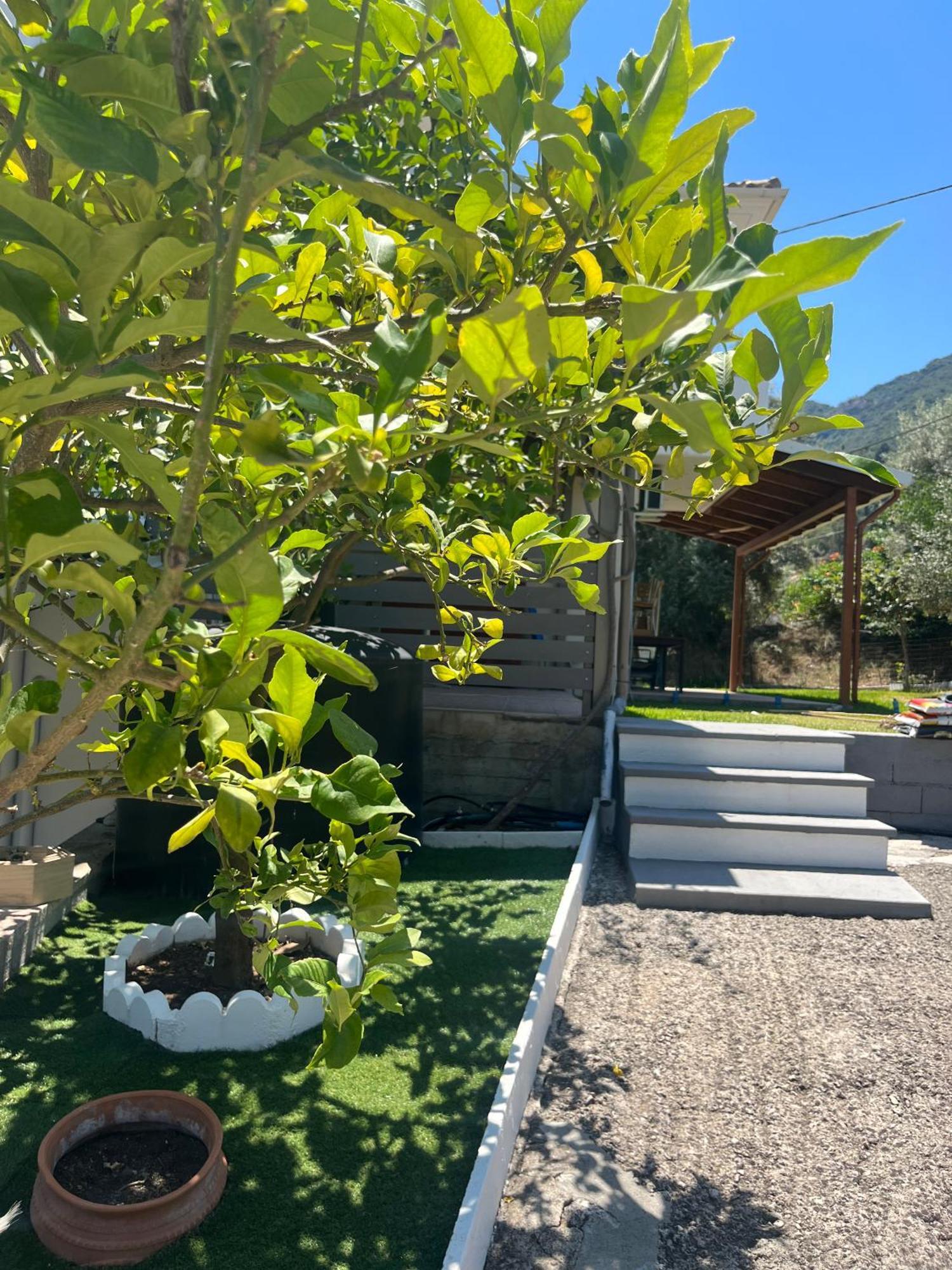 니키아나 Casa Blu 아파트 외부 사진